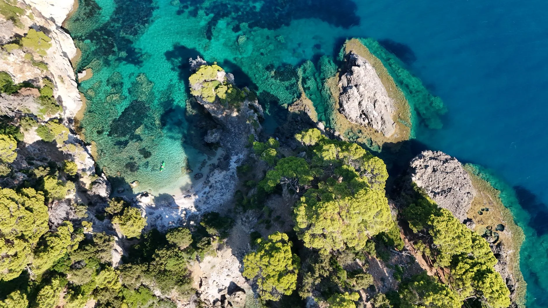 Paxos et Antipaxos : à quoi s'attendre